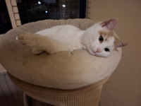 /album/113/whatsapp-image-2026-02-23-at-21-20-17-6-jpeg/